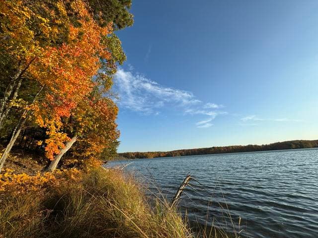 Pristine Woods Lane, Bellaire, MI 49615