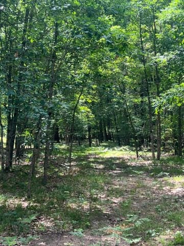 8268 B S Ferris Avenue, Newaygo, MI 49337