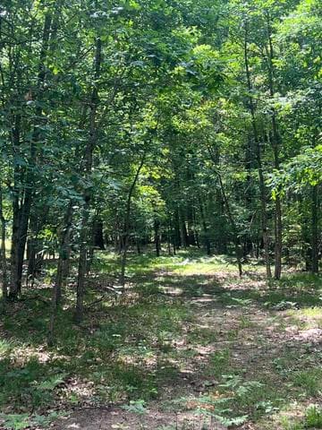 8268 B S Ferris Avenue, Newaygo, MI 49337