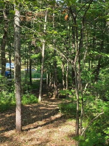 00 W Wilmas Way, Baldwin, MI 49304