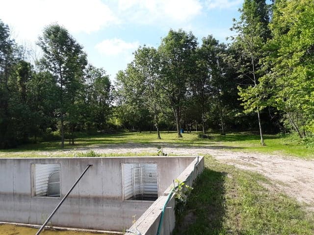 598 E North Street, Hastings, MI 49058