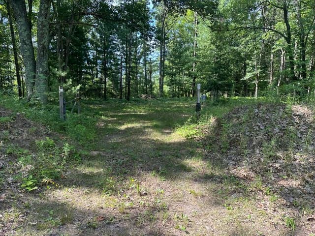 802 Beaver Road, Bitely, MI 49309
