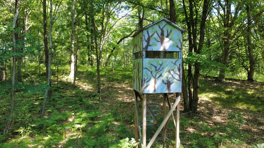 Photo 5