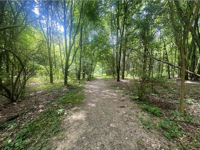 7705 Youngman Road, Greenville, MI 48838