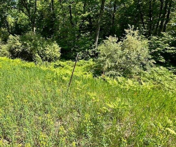 Par A 15 Mile Road, Big Rapids, MI 49307