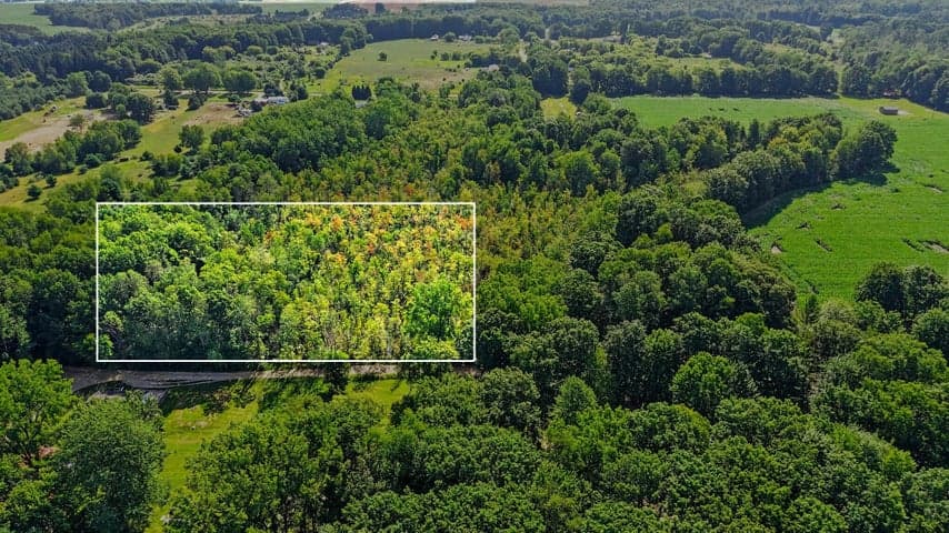 V/L E Woodland Drive, Six Lakes, MI 48886