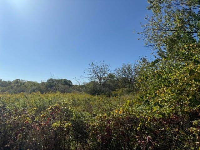 13129 Macon Road, Saline, MI 48176