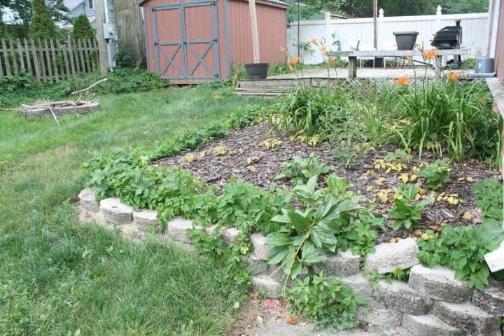 Photo 4
