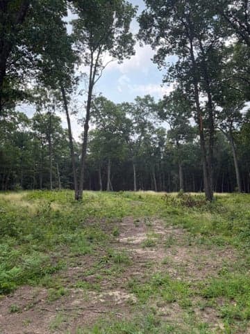 1099 Chicago Drive Lot 20, Whitehall, MI 49461