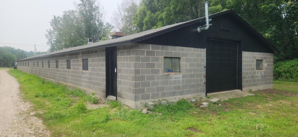 Photo 6