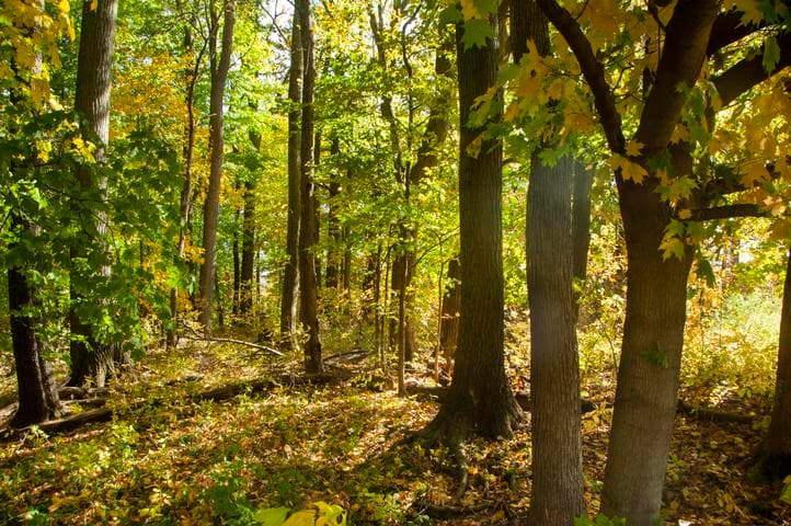 6862 N Nature Lane 11, La Porte, IN 46350