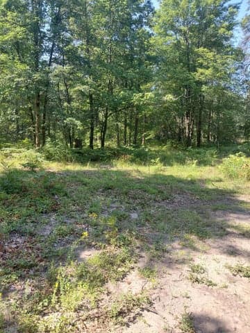 2807 s Evergreen Dr Drive Par C, White Cloud, MI 49349