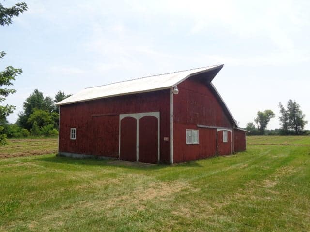 Photo 4