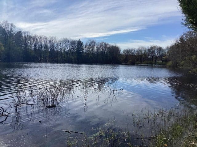 8005 W Juniper Beach Road, Mears, MI 49436
