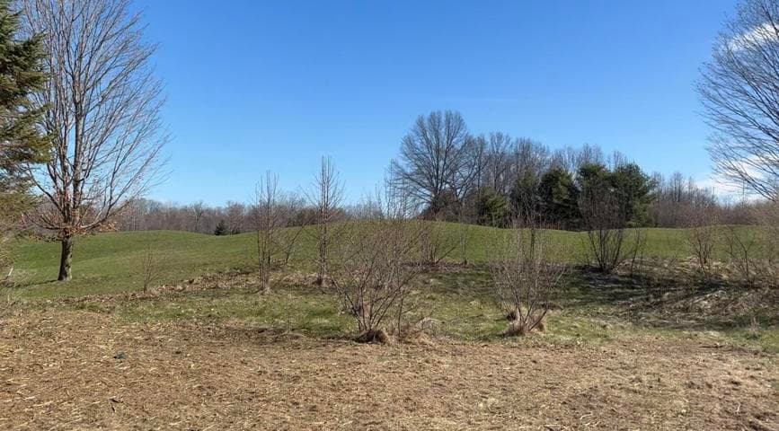 19529 Kluver Road, New Buffalo, MI 49117