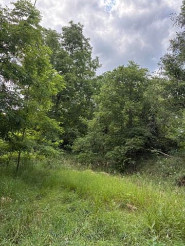 0 Rexford Road, Grass Lake, MI 49240