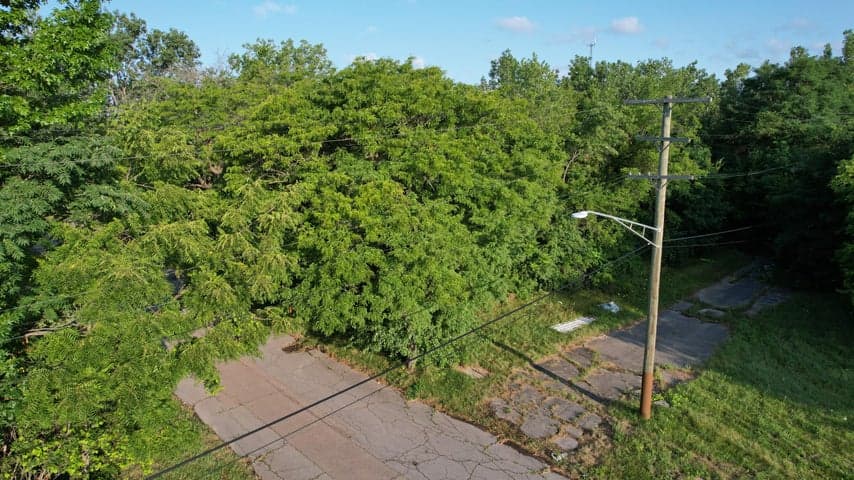 Photo 4
