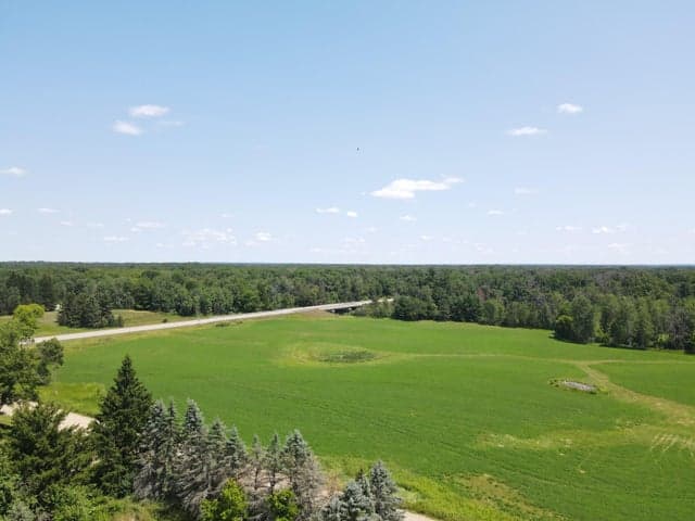 15943 N 20th Avenue, Marion, MI 49665
