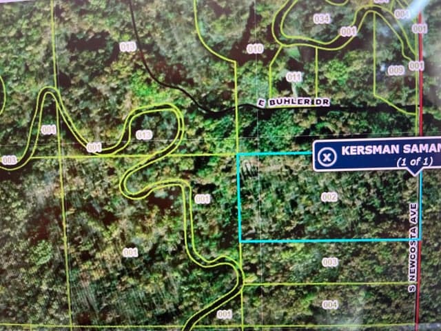 V/L NEWCOSTA Avenue, Howard City, MI 49329