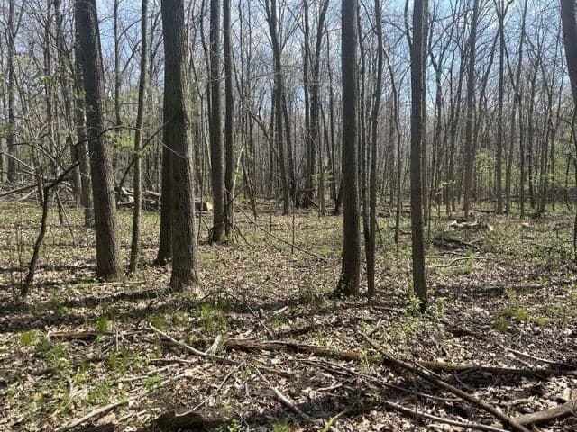 Halfmoon Lake Rd., Hillsdale, MI 49242