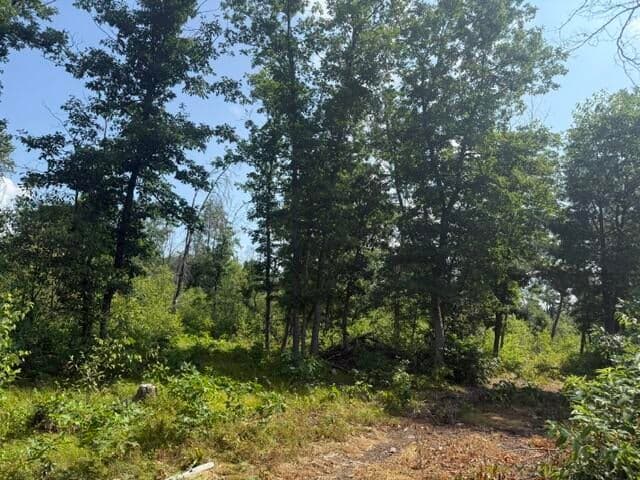7760 S Merrillville Road, Baldwin, MI 49304