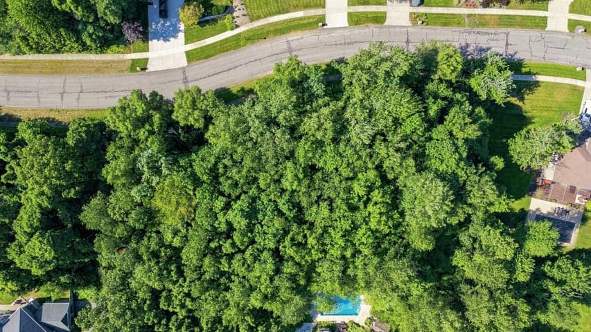 1980 N Donna Drive, Stevensville, MI 49127