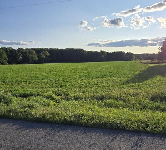 16659 Meddler Avenue NE, Sand Lake, MI 49343