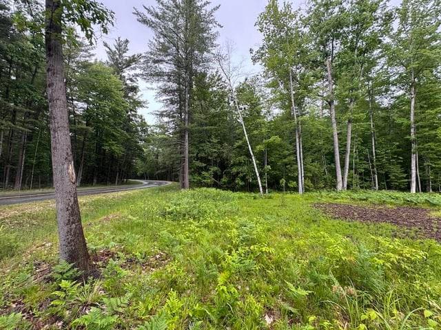 Pinecrest Drive, Gladwin, MI 48624