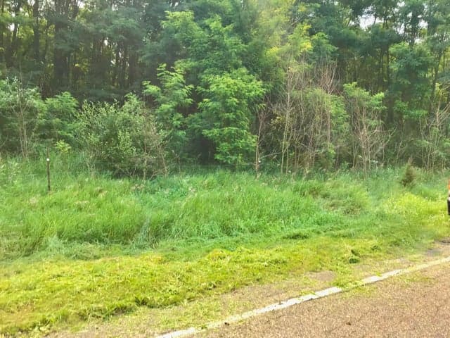 Lot I Buckhorn Road Lot I, Three Rivers, MI 49093
