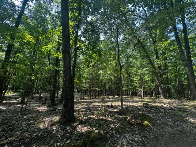 00 VL Deer Trail, Irons, MI 49644