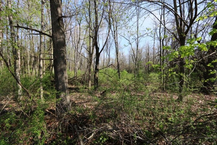 2807 S 13th Street Tract 1, Niles, MI 49120
