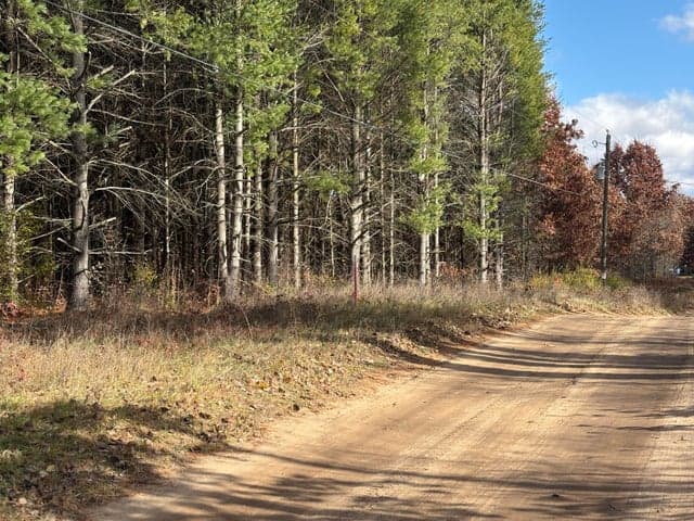 0 Tamarack Road, Newaygo, MI 49337