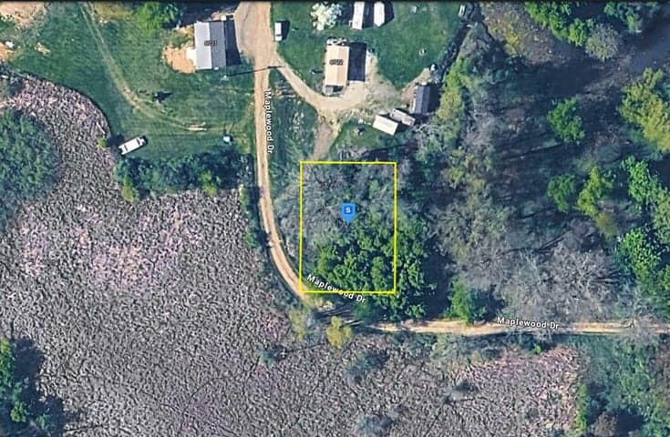 6720 Maplewood Drive, Delton, MI 49046
