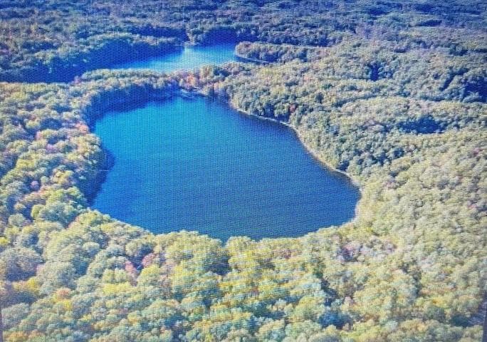 V/L Alpine Drive, Reed City, MI 49677
