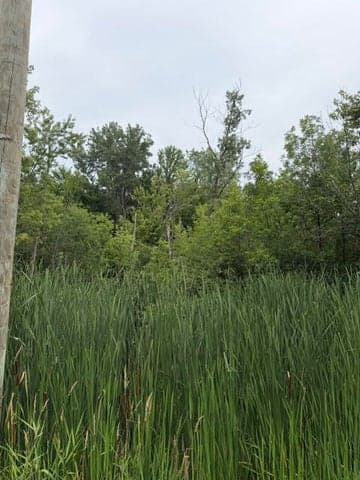 W. Linco Road - Parcel #3-C, Stevensville, MI 49127
