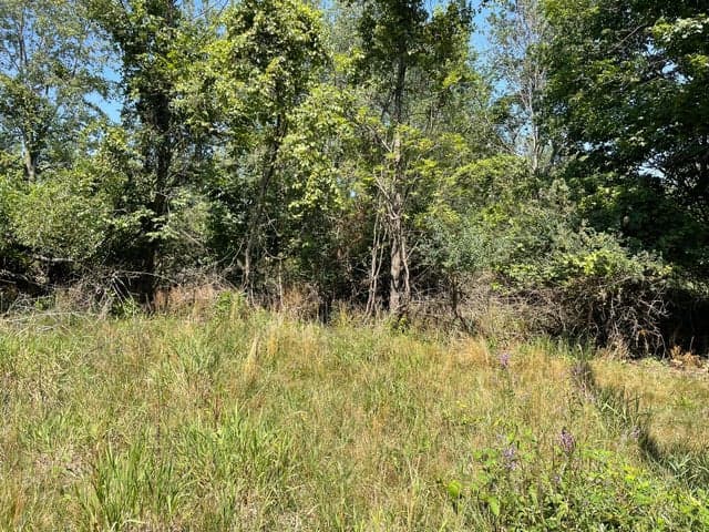 6893 Wiley Road, Fennville, MI 49408