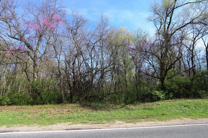 2807 S 13th Street Tract 2, Niles, MI 49120