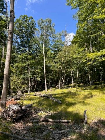 11992 Cheyenne Wells Trail, Canadian Lakes, MI 49346