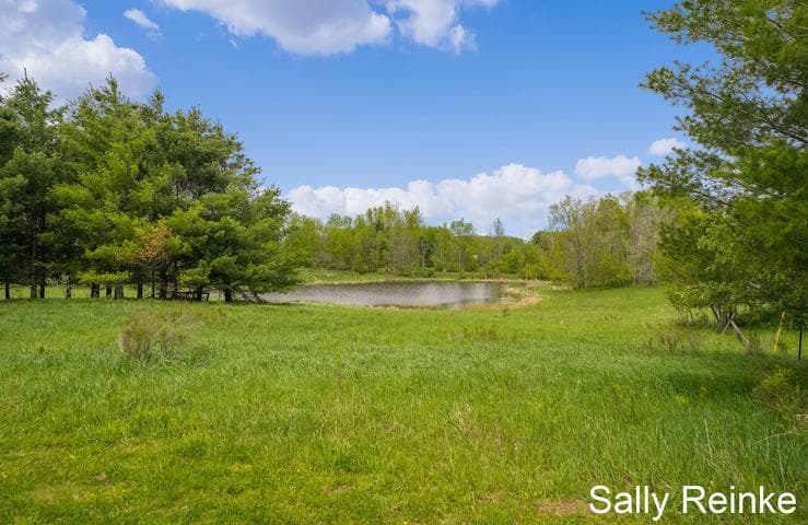 V/L 9 Mile Rd Road, Reed City, MI 49677