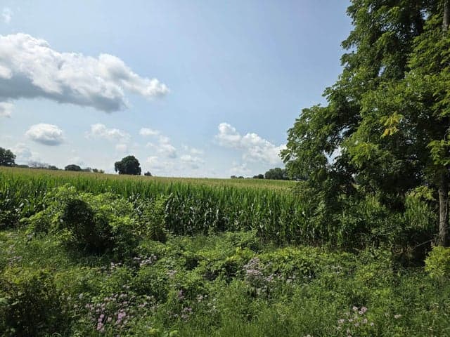 13 Mile Rd (parcel 3), Burlington, MI 49029