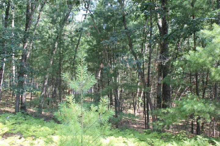 8212 W Goldenrod, Baldwin, MI 49304