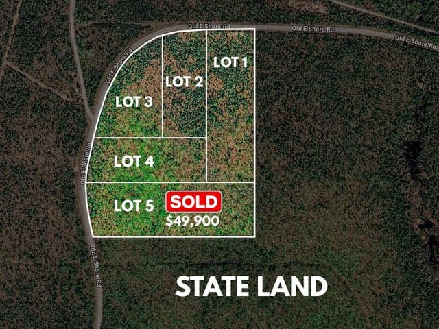 Lot 4 E Shore Road, Bergland, MI 49910