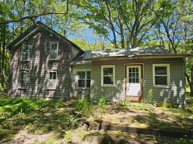 Photo 4