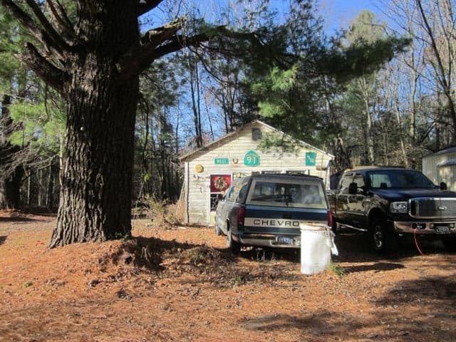 Photo 3