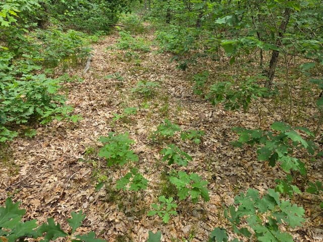 v/l 10-13 Lakewood acres W Oliver Road, Baldwin, MI 49304