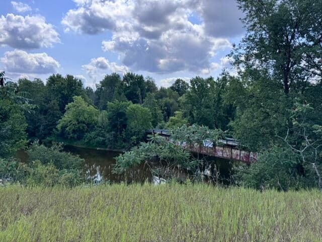 1.5 Acres V/L 170th Avenue, Hersey, MI 49639