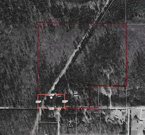 23680 4 Mile Road, Morley, MI 49336