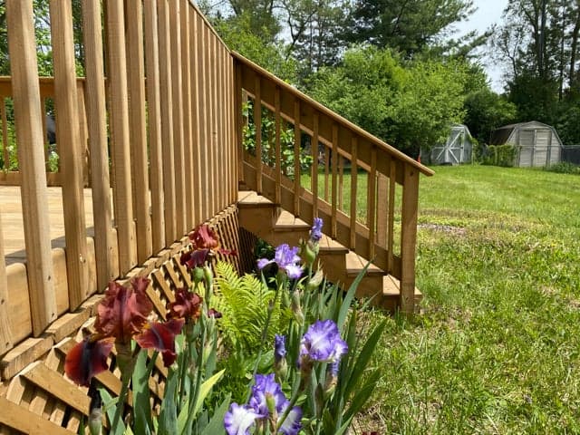 Photo 4