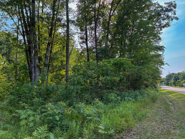 V/L E Jackson Street, White Cloud, MI 49349