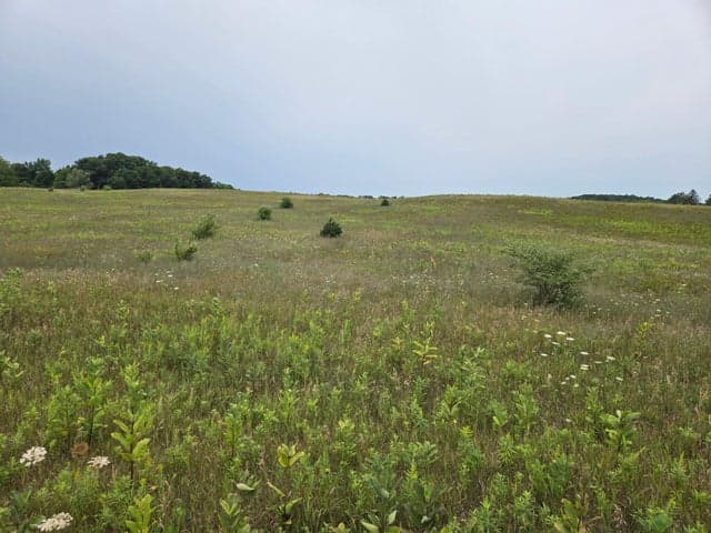 Parcel G Water Road, Hart, MI 49420